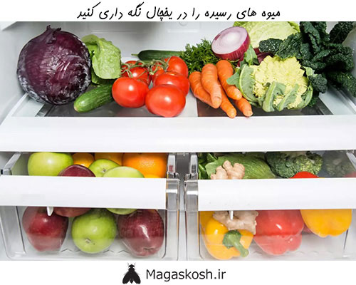 نگهداری از سبزیجات